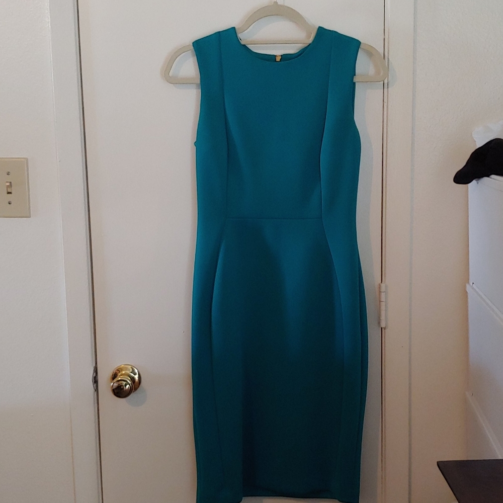 Calvin Klein Form fitting dress